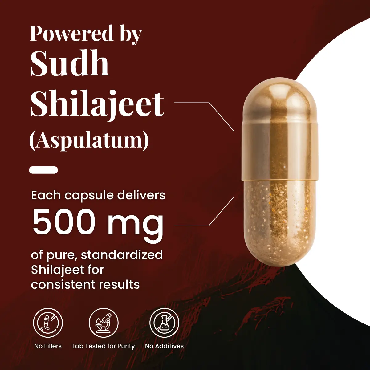 Zeelab Shilajeet Gold 100 Capsule